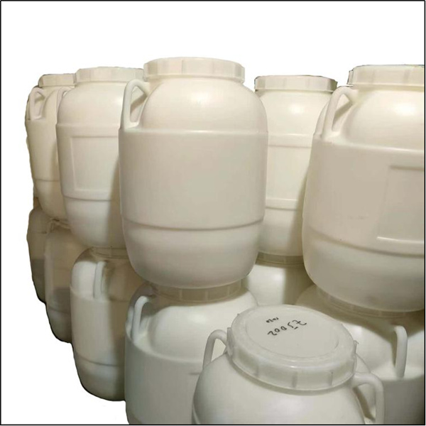 1769072584290695.jpg 1769072584290695.jpg