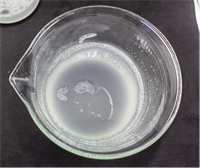 1769233084824921.jpg 图片4.jpg