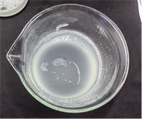 1769233503420884.jpg 图片12.jpg