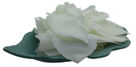 1769754406332120.jpg 图片6.jpg